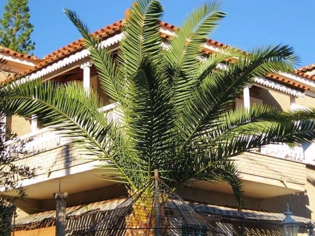 Alex - Nancy Apartments - Zaga Beach Koróni 外观 照片